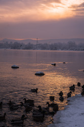 Similar image 22062370