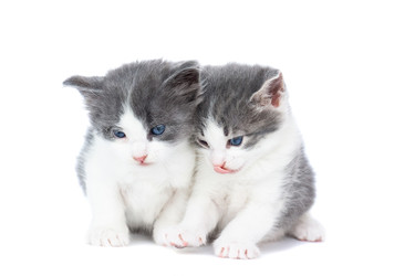 Similar image 22060273