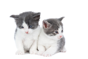 Similar image 22060275