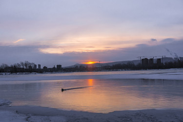 Similar image 22062384