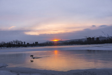 Similar image 22062394