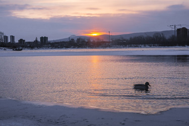 Similar image 22062410