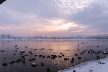 Similar image 22062411