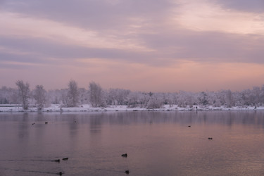 Similar image 22062417