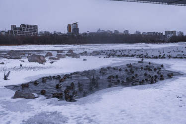 Similar image 22062424