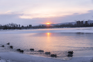 Similar image 22062426