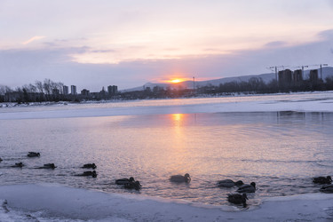 Similar image 22062432