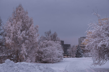 Similar image 22062435