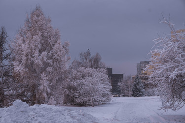 Similar image 22062436