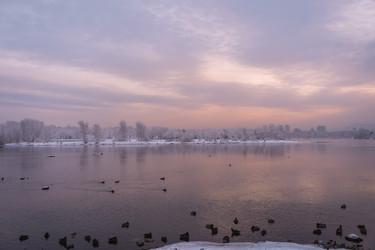 Similar image 22062437