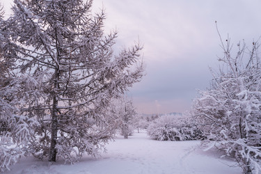 Similar image 22062441