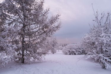 Similar image 22062445