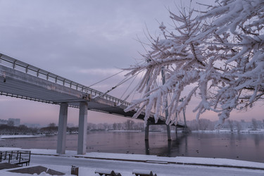 Similar image 22062463