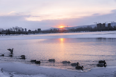 Similar image 22062464