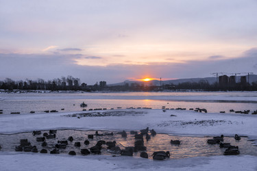 Similar image 22062468