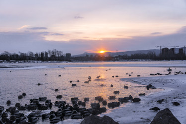 Similar image 22062470