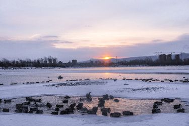 Similar image 22062472