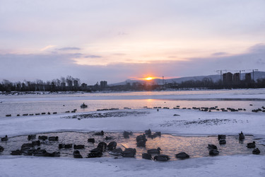 Similar image 22062474