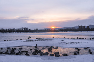 Similar image 22062476