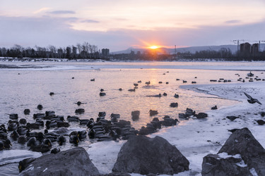 Similar image 22062482