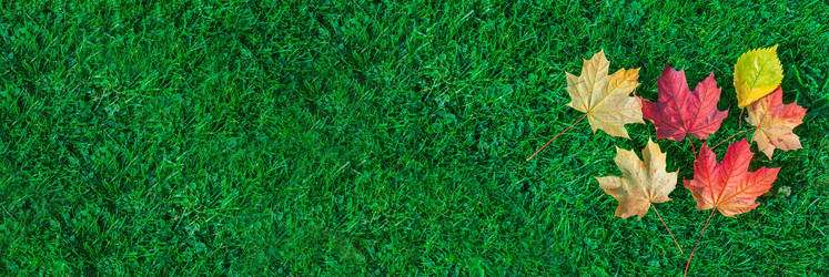 Similar image 22061431