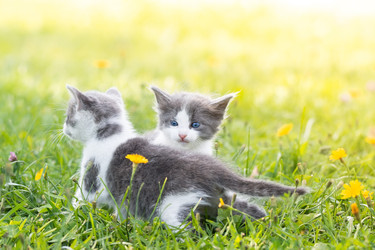 Similar image 22061438