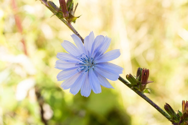 Similar image 22061451