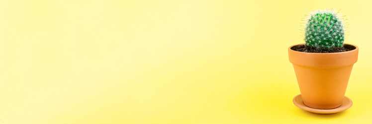 Similar image 22061453