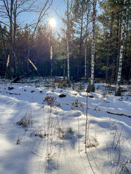 Similar image 22070202