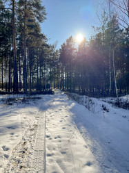 Similar image 22070239