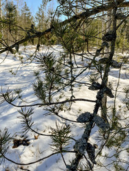 Similar image 22070240