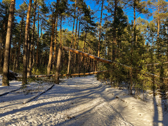 Similar image 22070241