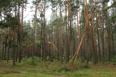 Similar image 22081025