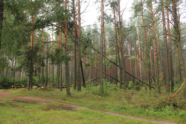 Similar image 22081026