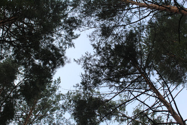 Similar image 22081027