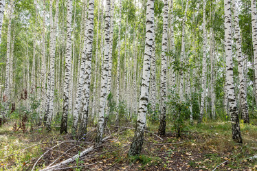 Similar image 22061457