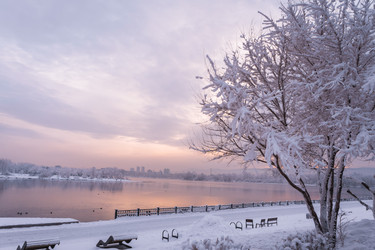 Similar image 22062483