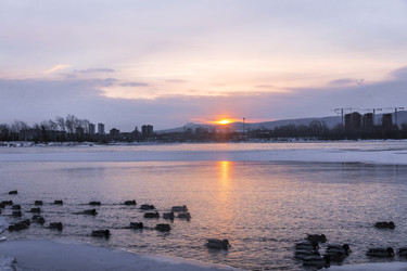 Similar image 22062484