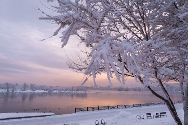 Similar image 22062485