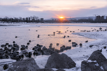 Similar image 22062492