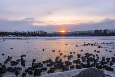 Similar image 22062497