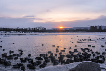 Similar image 22062499