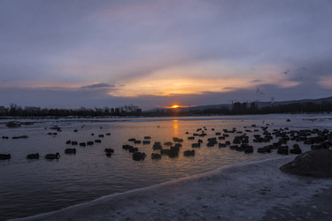 Similar image 22062502