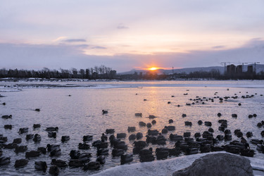 Similar image 22062503