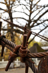 Similar image 22059270