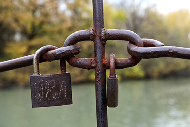 Similar image 22059271