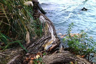 Similar image 22058679