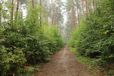 Similar image 22081052