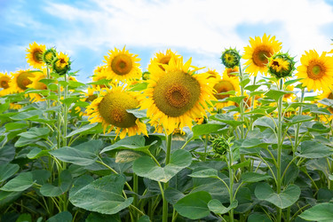 Similar image 22060581