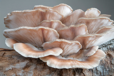 Similar image 22087420